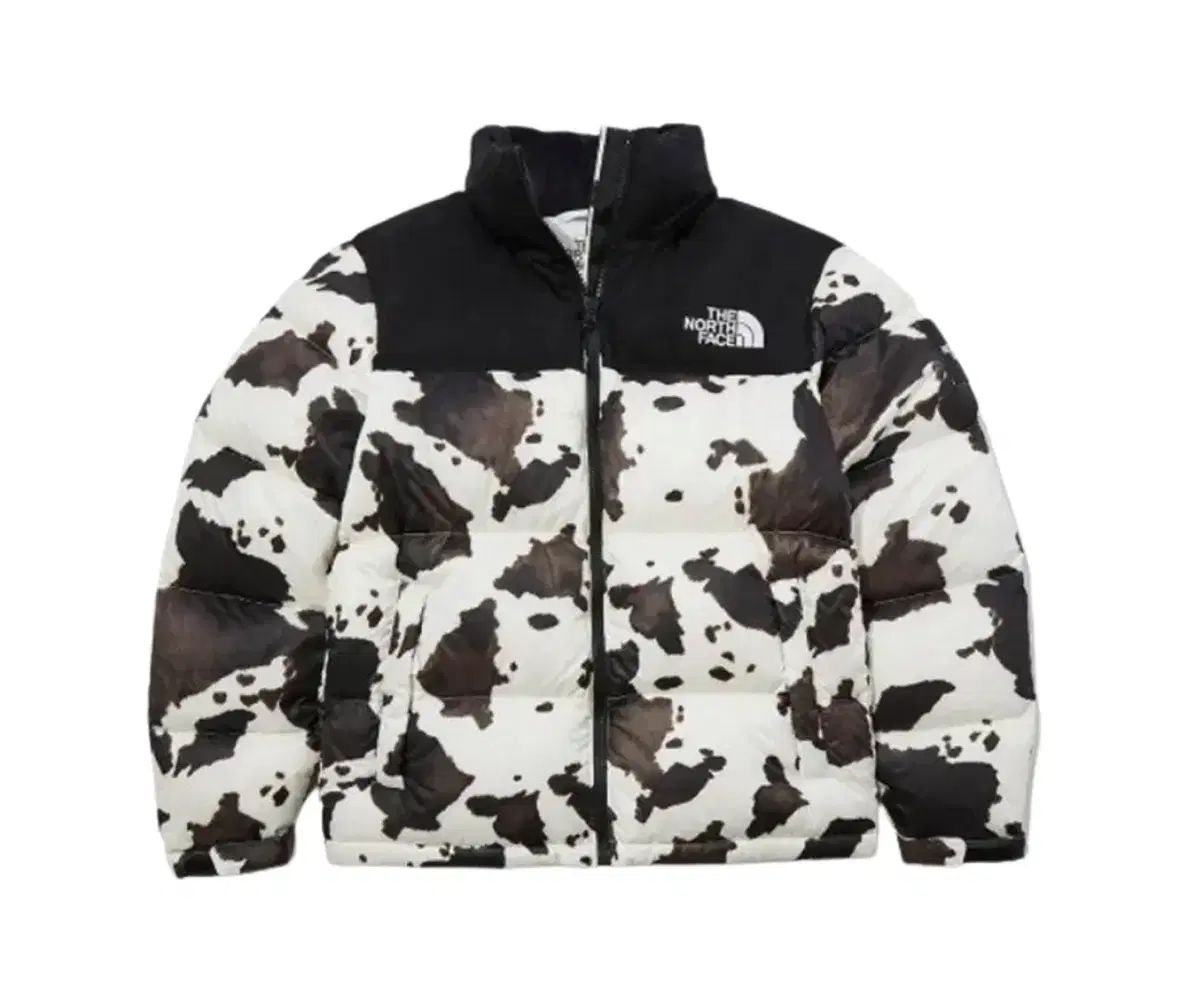 XL THE NORTH FACE ザノースフェイス ヌプシ ノベルティ ダウン ジャケット 얼룩 シュプリーム味