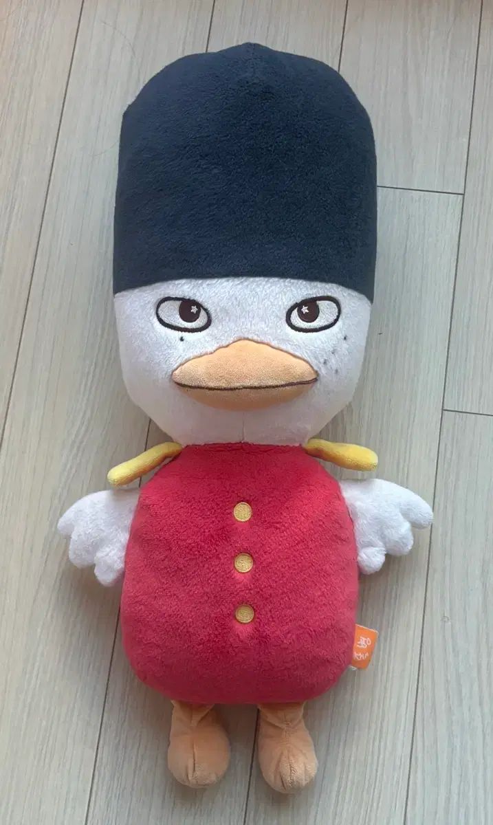 40cm 精神疾患患者
