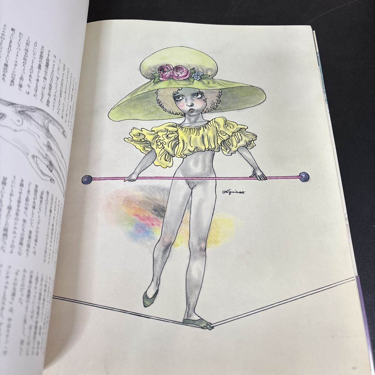 『宇野亜喜良　マスカレード』　＊宇野亜喜良の大判画集 マスカレード」宇野亜喜良 | Frobergue online store