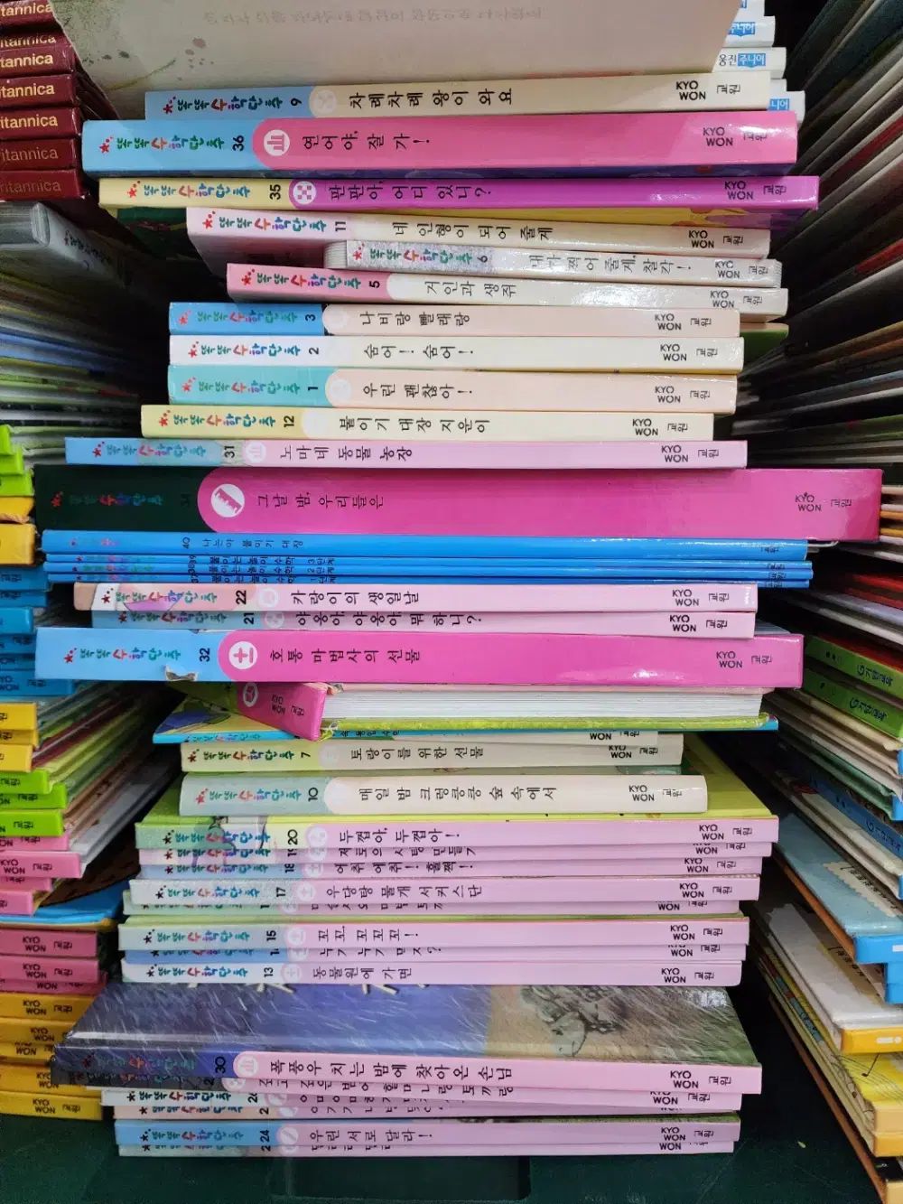 LYNN ONE 数学 教員 40巻 セット 子供向けの本