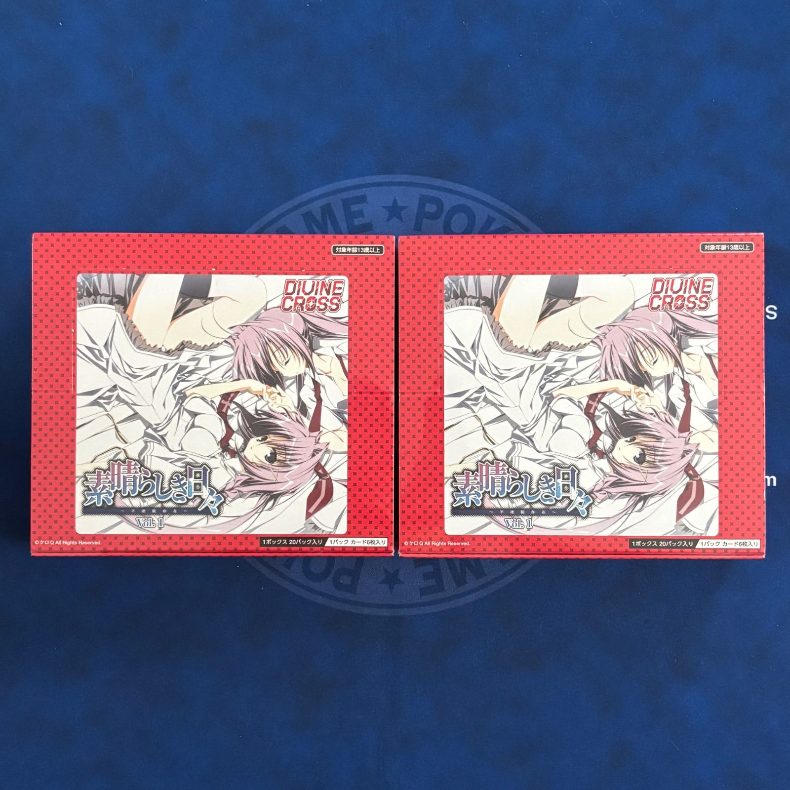 DIVINE CROSS 素晴らしき日々 Vol.1 新品 未使用 未開封 シュリンク付き 2box ディバインクロス ディヴァインクロス