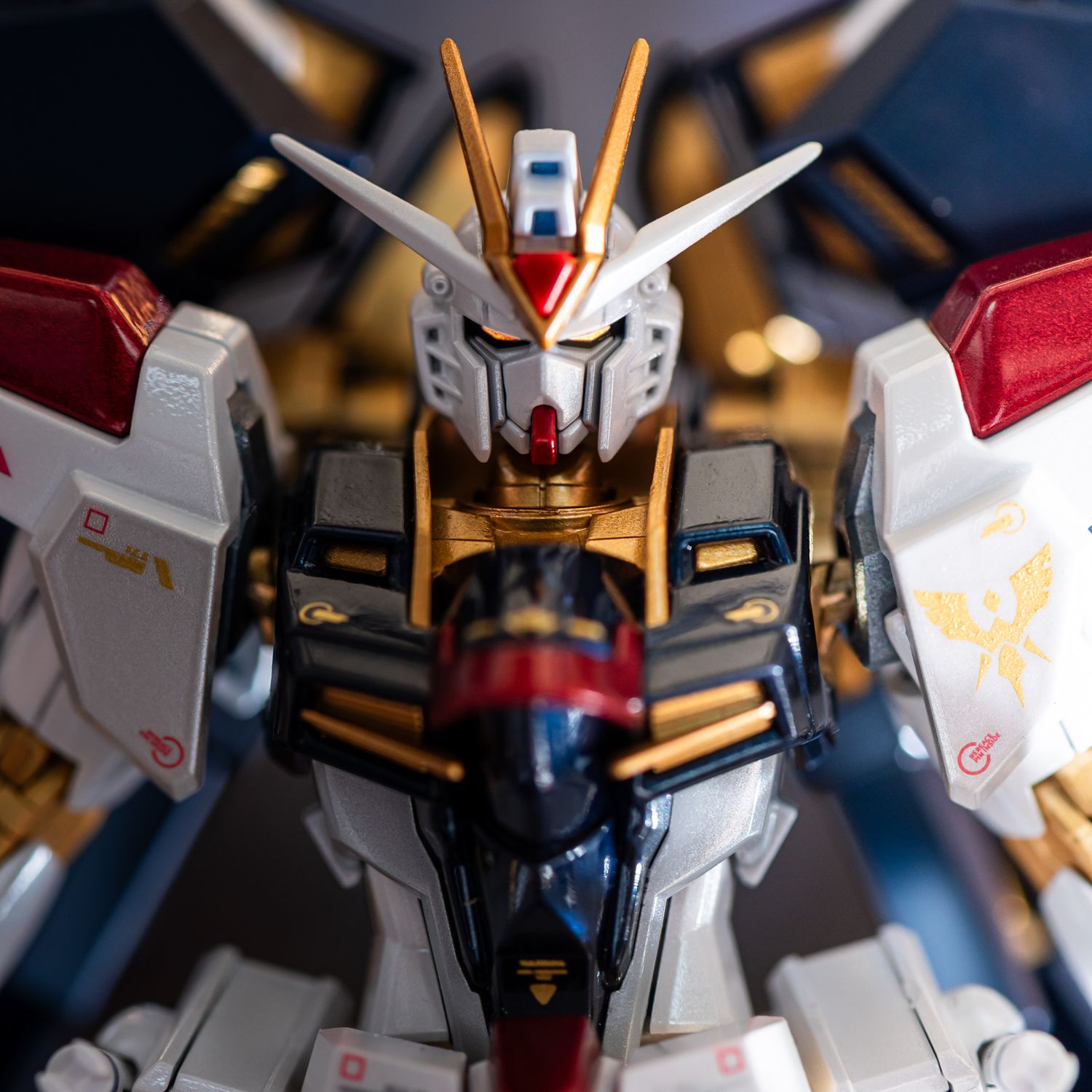 HG 1/144 RISING FREEDOM GUNDAM ライジングフリーダム ガンプラ キャンディー塗装 完成品
