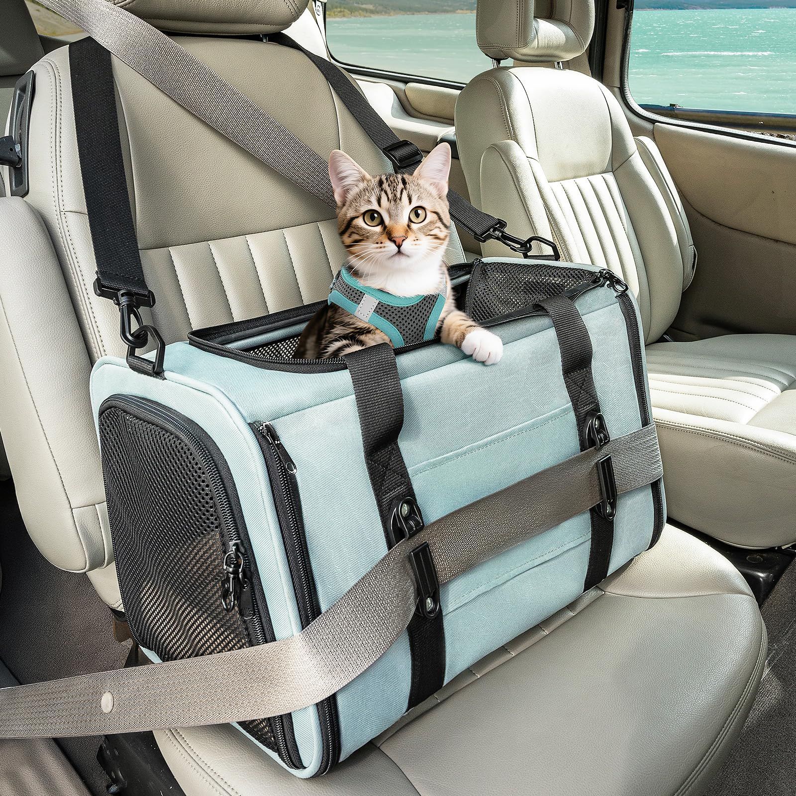 Petsfit 猫キャリー ペットキャリーバッグ 小型犬 特許安全バックル付き 脱走防止 ロック付きファスナー 型崩れ防止 折りたたみ 防災?通院?新幹線as 0b1d55f6