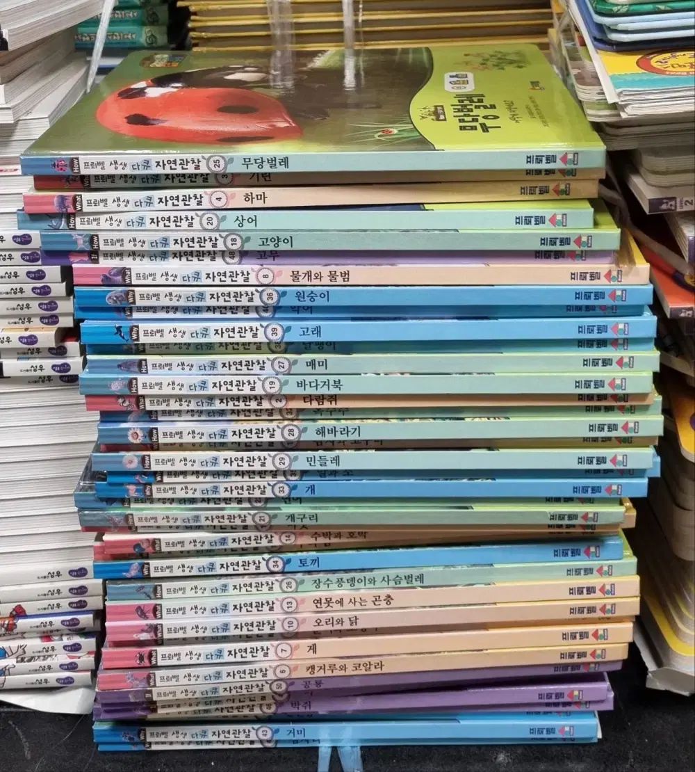 生々ドキュメンタリー 自然観察 FROEBEL 48巻 セット 子供向けの本