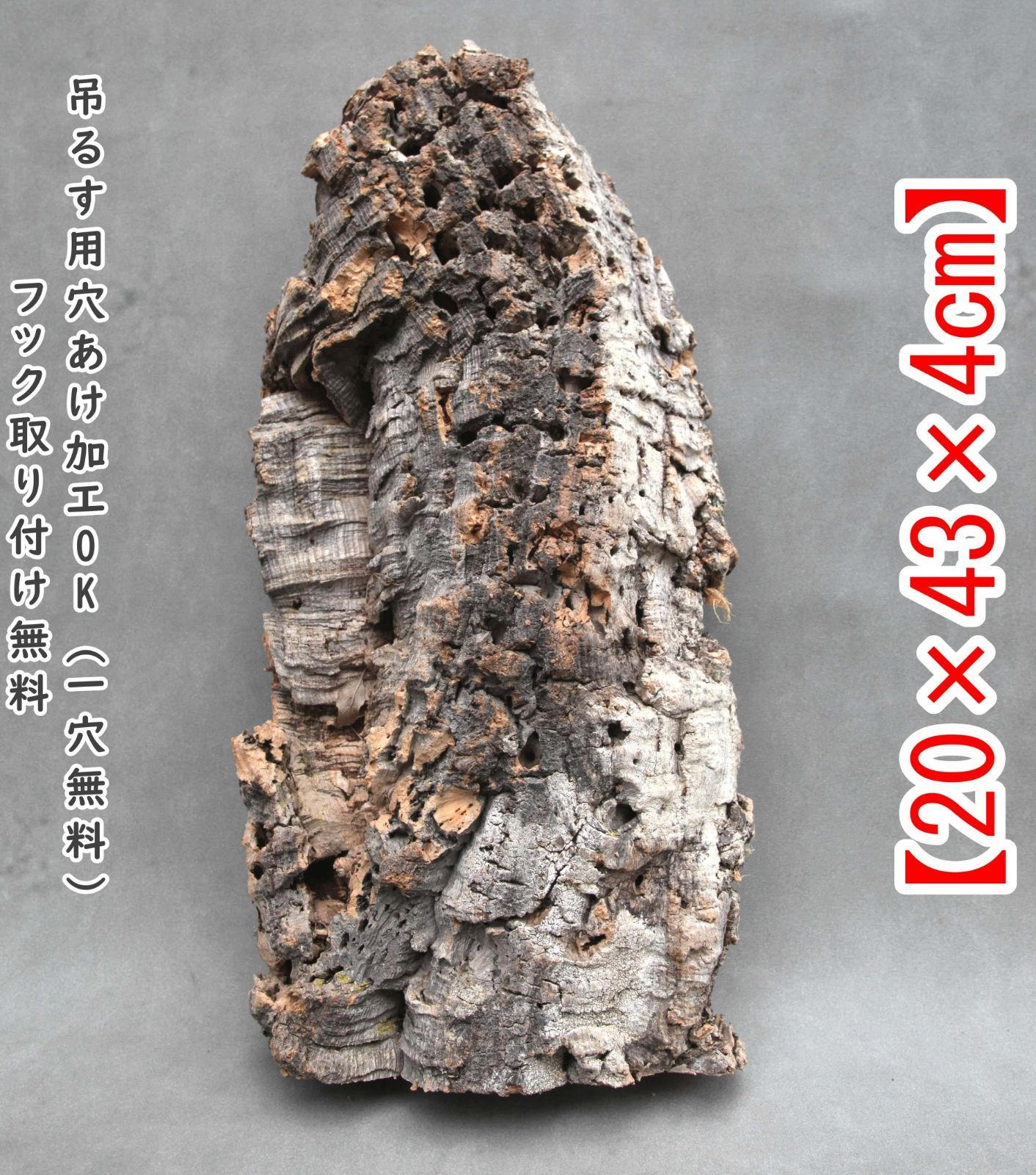 Y186 高品質　ポルトガル産 厚め コルク樹皮 コルク板　バージンコルク チランジア　ビカクシダ　着生ラン　両生類　爬虫類　　コウモリラン　板付　エアープランツ 鳥用おもちゃ 植物用　水槽用　壁飾り　天然素材　DIY　大人気