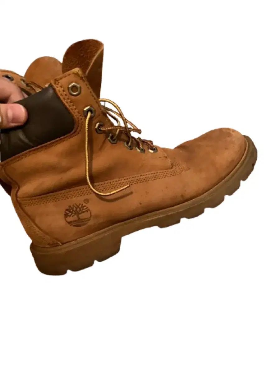 Timberland 255