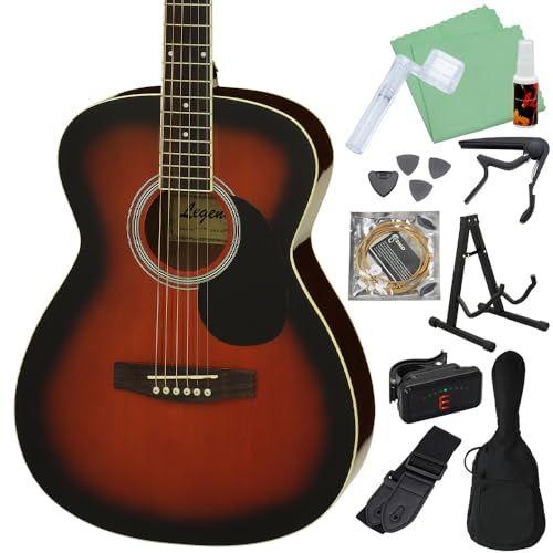 LEGEND FG-15 初心者セット アコースティックギター (Brown Sunburst)t
