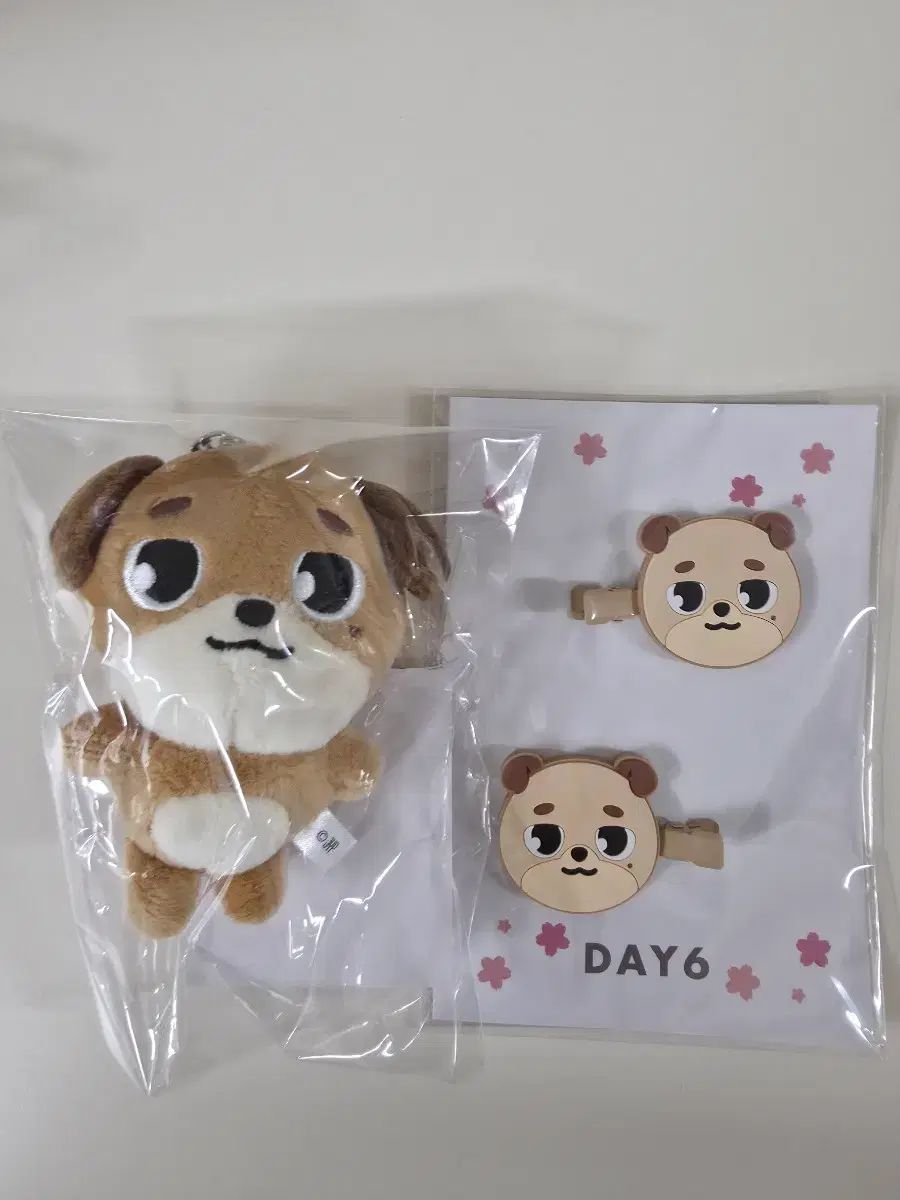DAY6 ドウン デニマルズ DON セット DAY6 デニマルズ（DENIMALZ）ドンset DAY6（デイシックス）日本MD