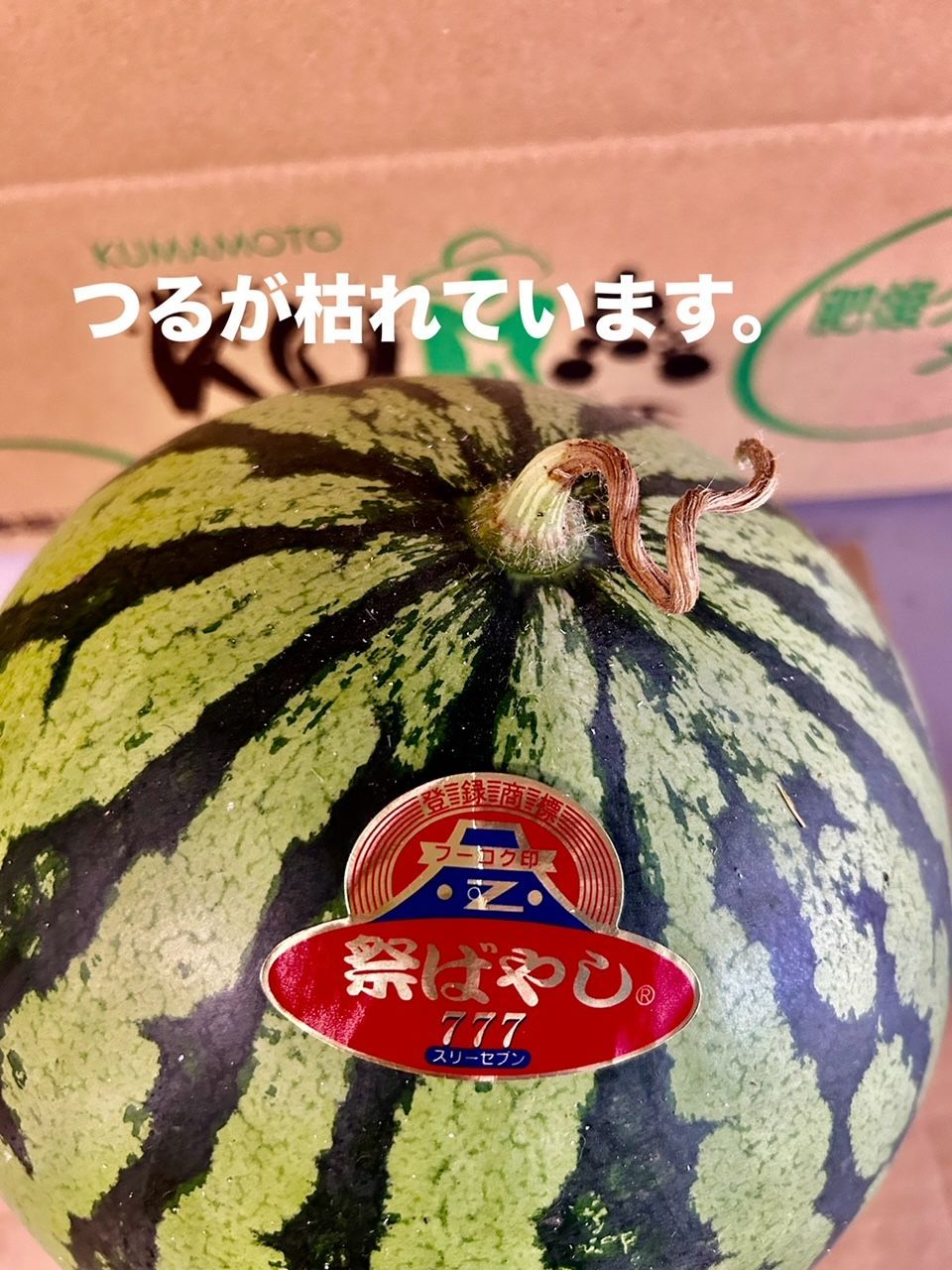 熊本県産 スイカ羅皇ザ・スウィート5～6kg(2玉入) 【公式通販】
