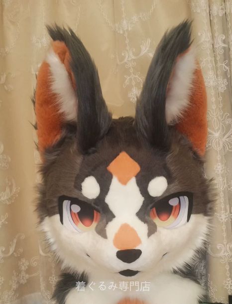 犬　猫　着ぐるみ ヘッド全頭　ヘッド ケモノ ファースーツ ぬいぐるみ コスプレ コスチューム Kurumi 一点物 B748