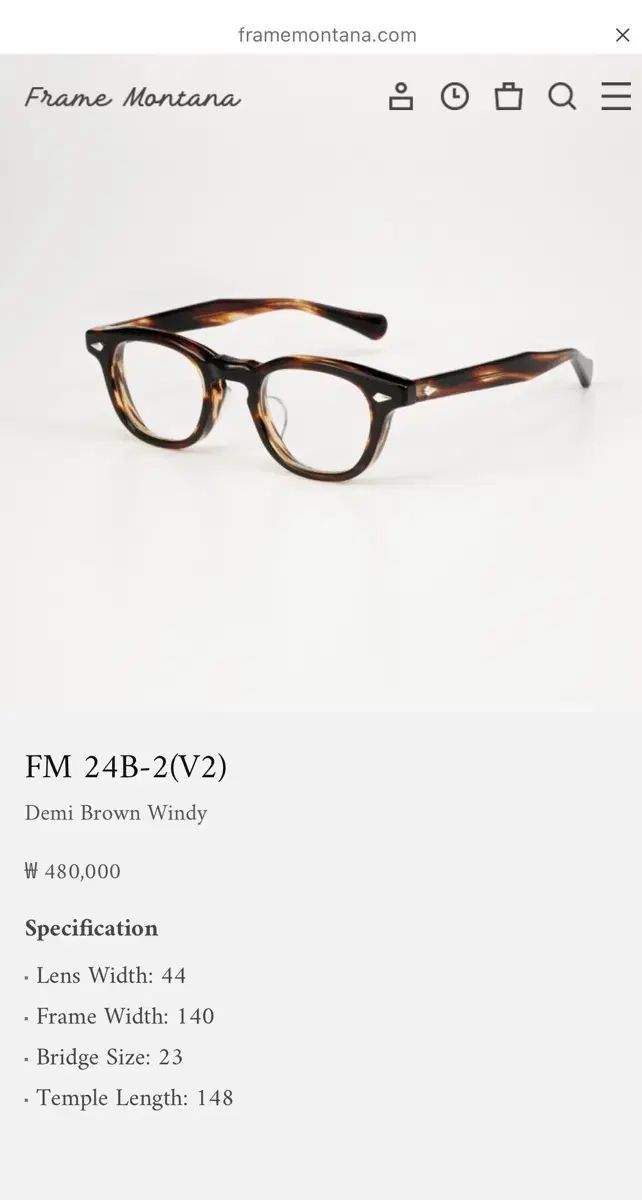 フレームモンタナ fm24 TORTOISE 44