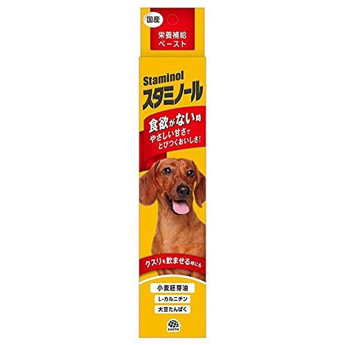 （まとめ買い）アース 栄養補給ペースト スタミノール 100g 犬用 【×3】