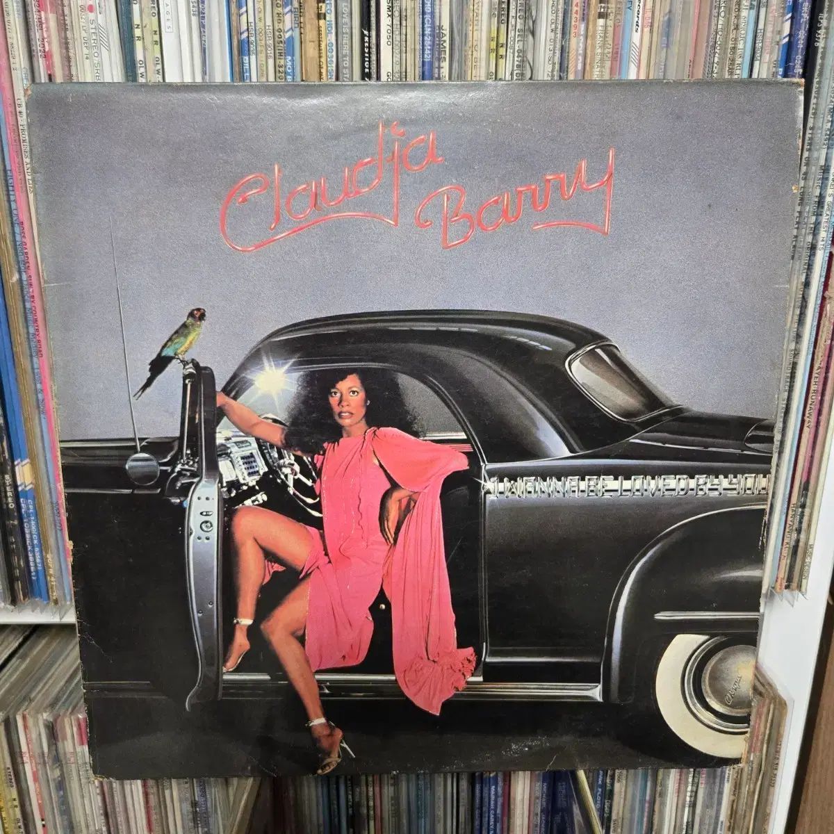 クラウディア バリー LP 版 Boogie Woogie ディスコ