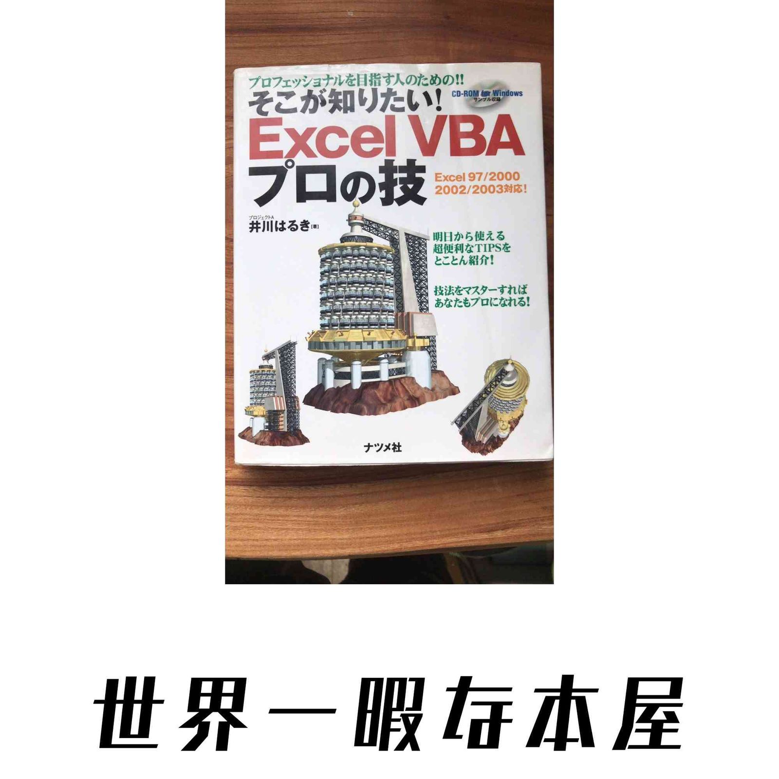 そこが知りたい!Excel VBAプロの技: プロフェッショナルを目指す人のための!! 井川 はるき