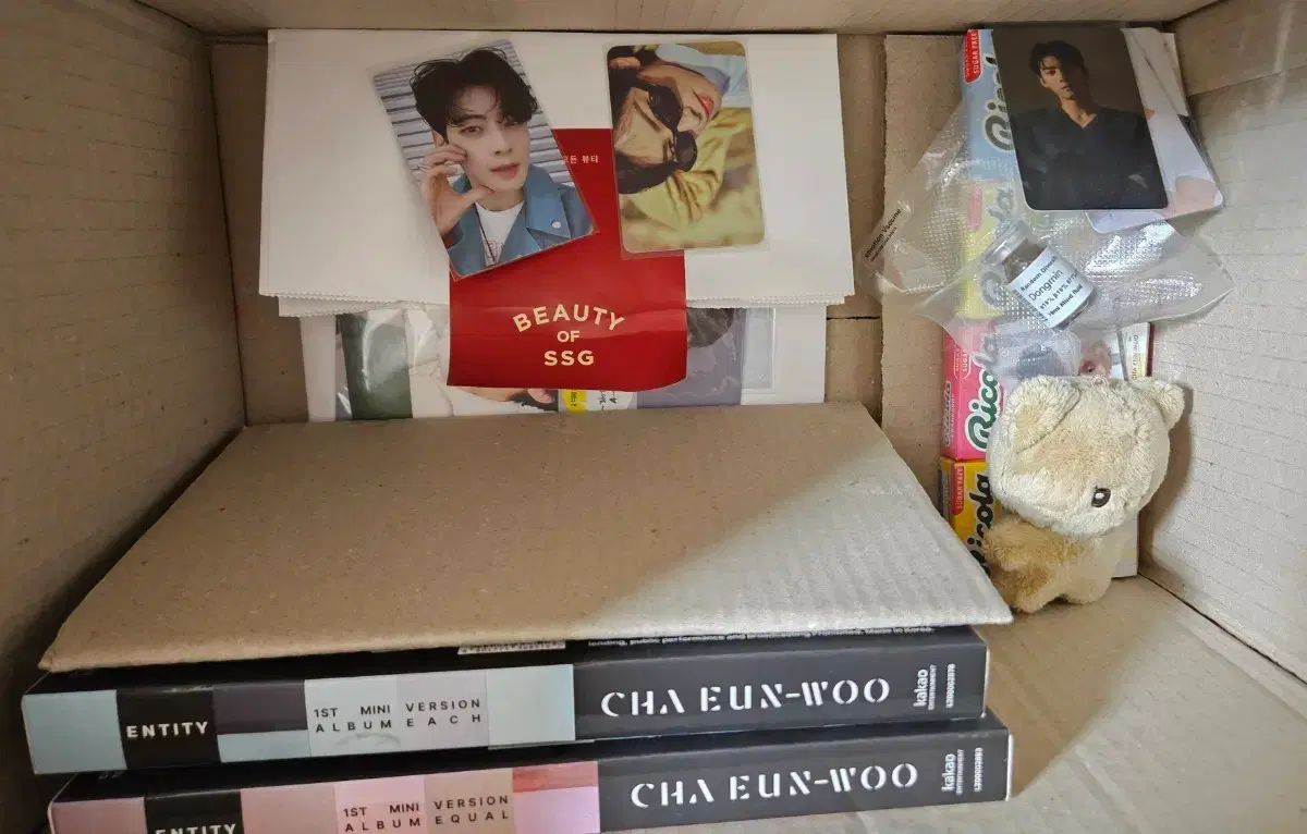 チャ・ウヌ グッズ まとめ