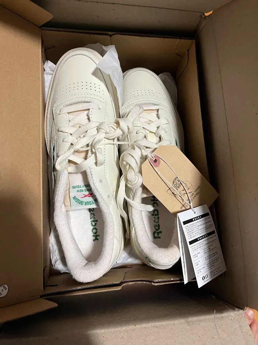 コレクト フィーシス リーボック クラブC 270 新品