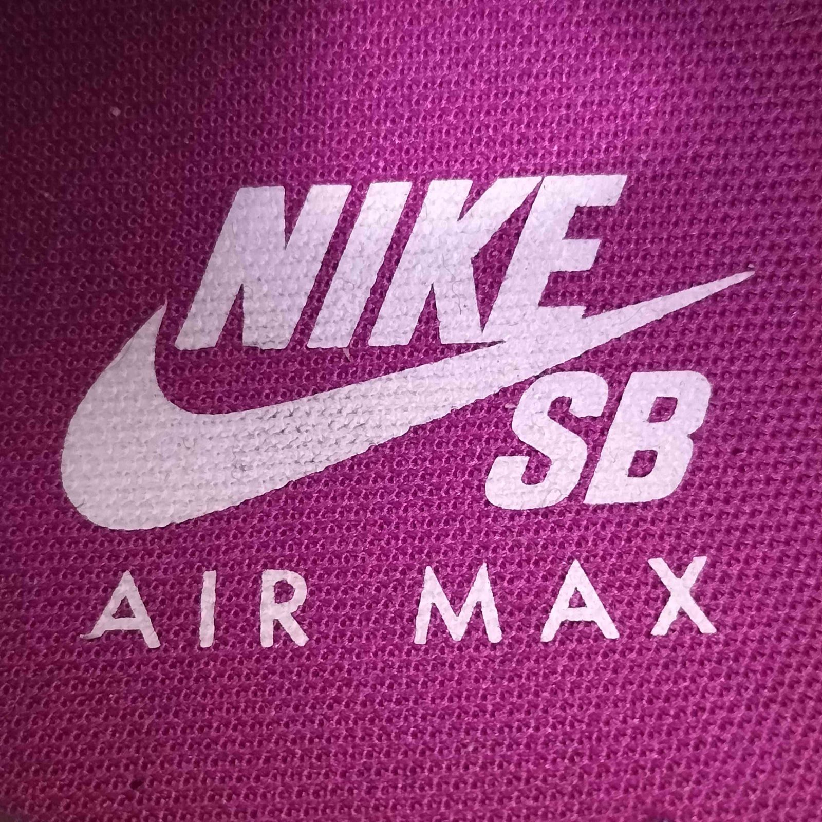 ナイキスケートボーディング NIKE SB AIR MAX 95 CACTUS FLOWER 