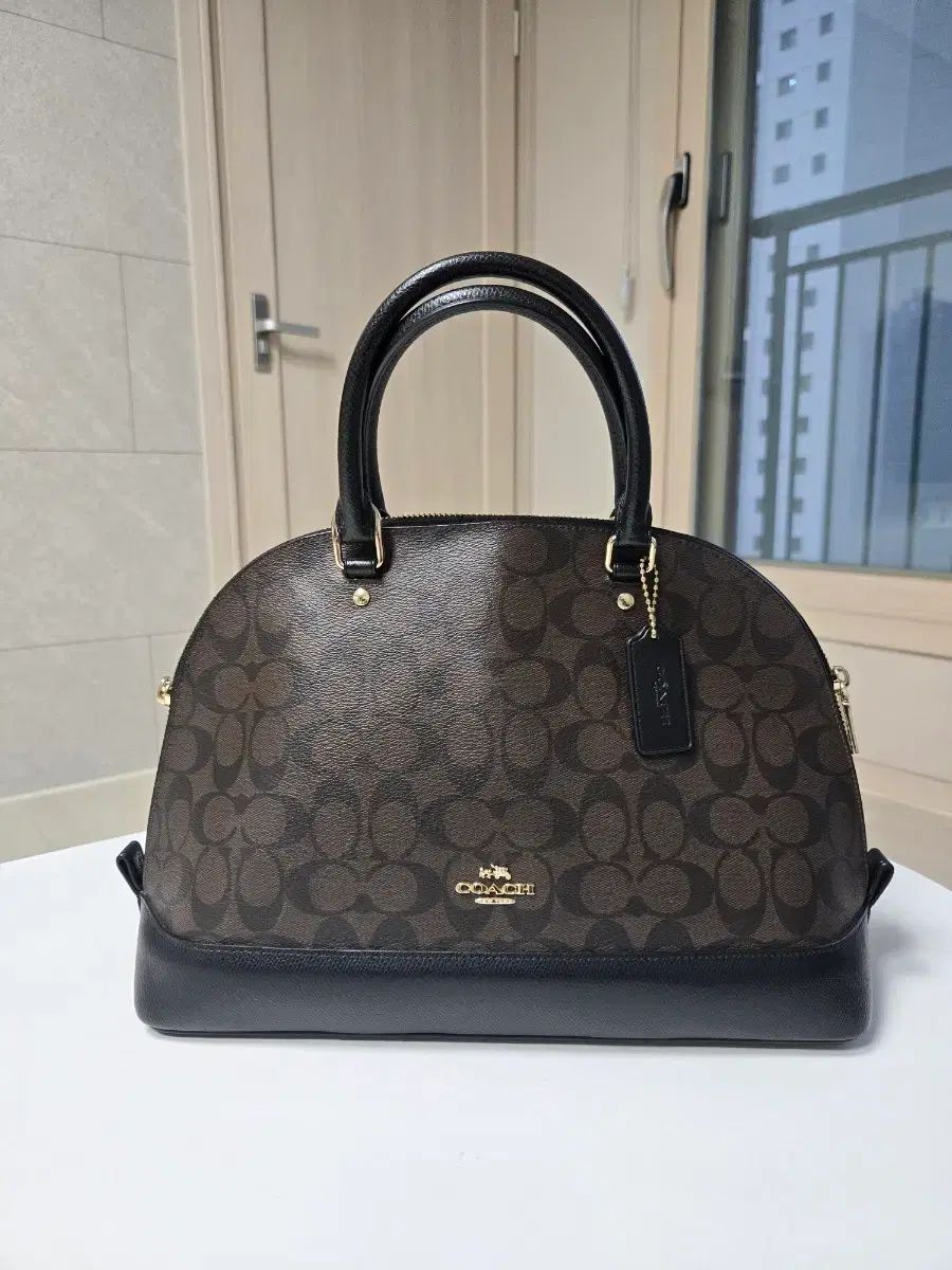 COACH コーチ シグネチャー ドーム トートバッグ ブラウン/ブラック