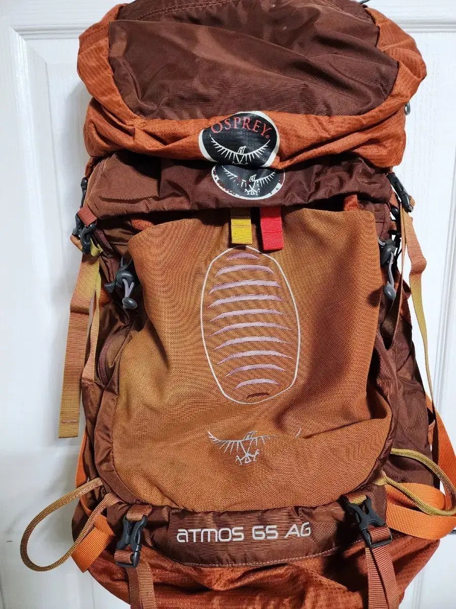 オスプレイ(OSPREY) Atmos 65 AG 등산 リュックサック ブラウン