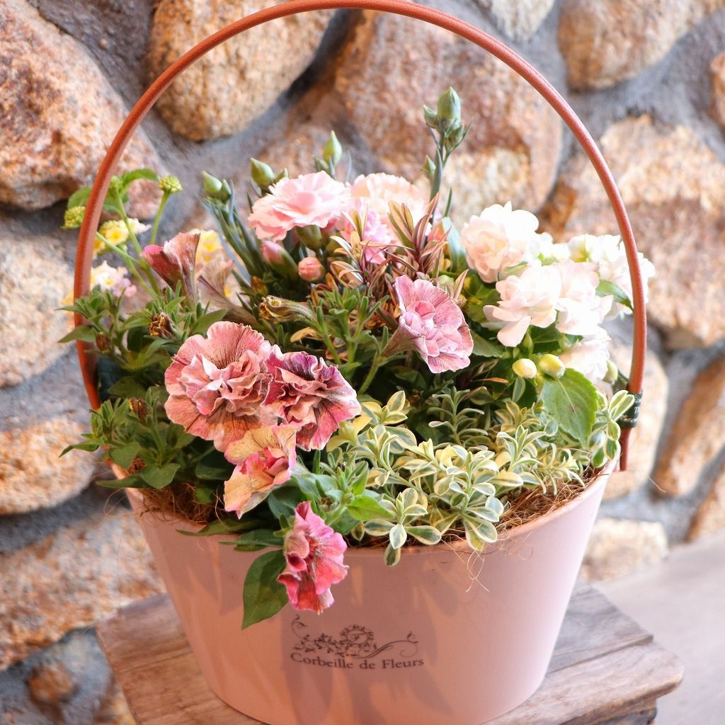【当店オリジナル】 持ち手付き♪ピンクガーデン寄せ植え 【現品２４５】 5,016円