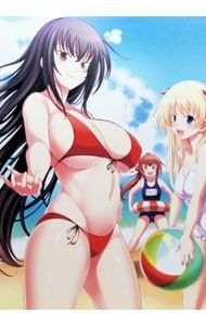 Blu-ray／真剣で私に恋しなさい!! BD-BOX ブロマイド・あらすじカード付