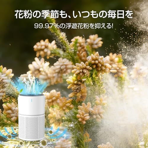 空気清浄機 花粉 小型 花粉対策 13畳 静音 集じん ホコリ ペット 除菌