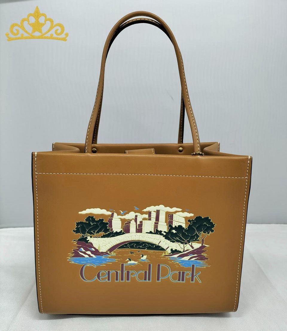 COACH セントラルパークグラフィック カシンキャリートート 22 2WAY バッグ レディース