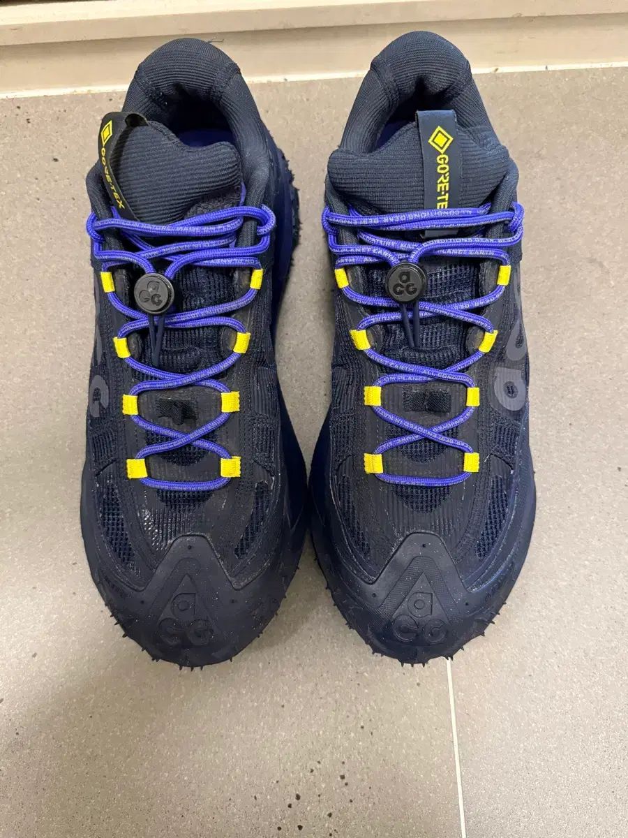 ナイキ ACG マウンテン フライ 2 ロー
