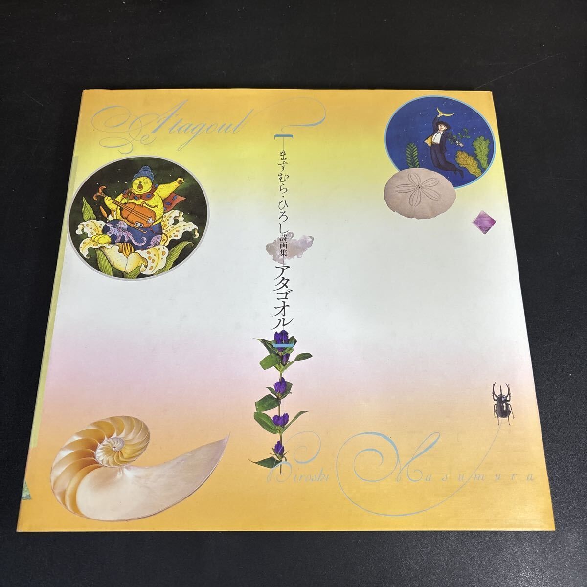 ますむら・ひろし アタゴオル 詩画集 』偕成社　画集 イラスト集 宮沢賢治 猫 ファンタジー　ますむらひろし