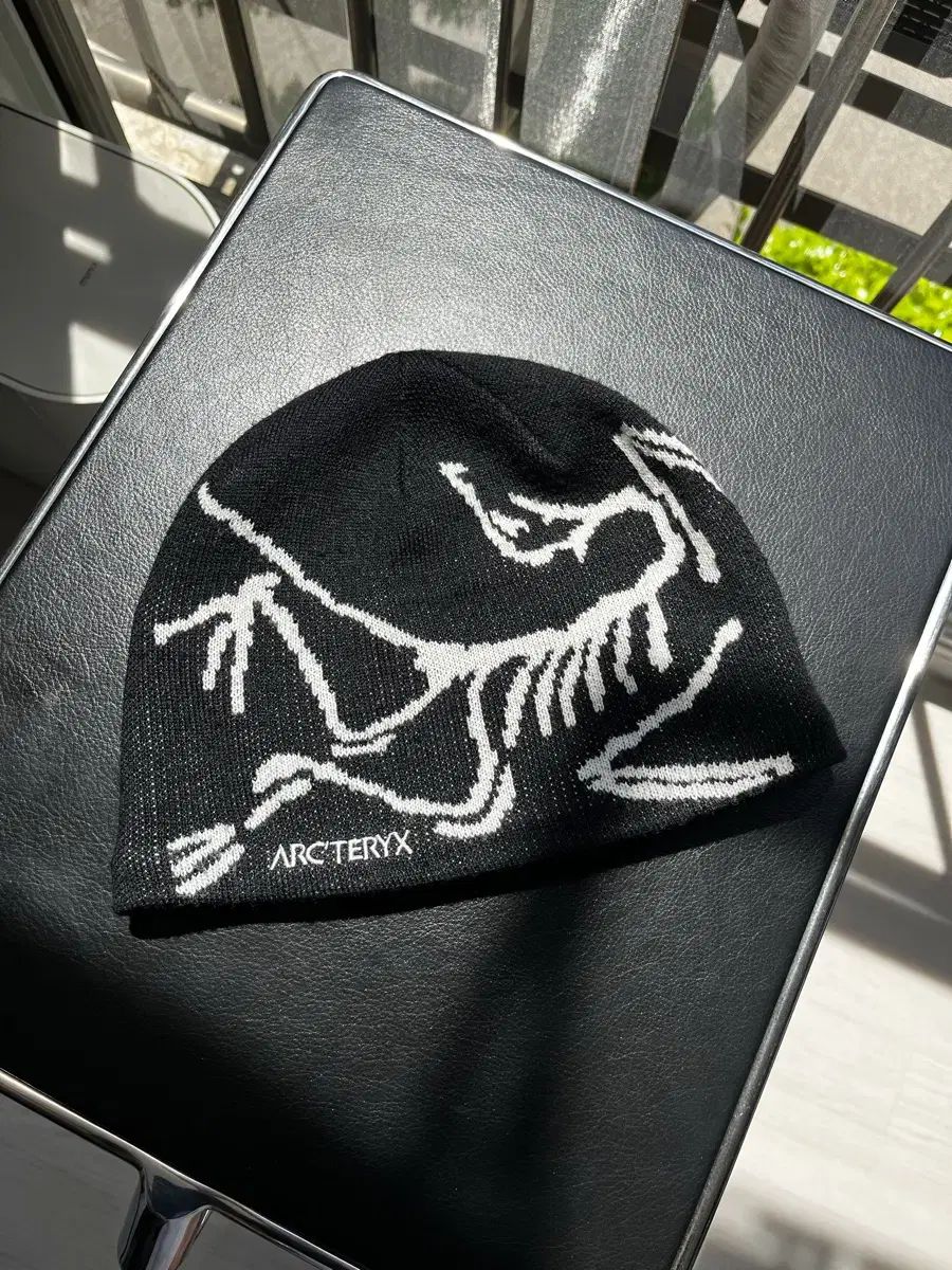 アークテリクス BIRDHEADトークビーニー