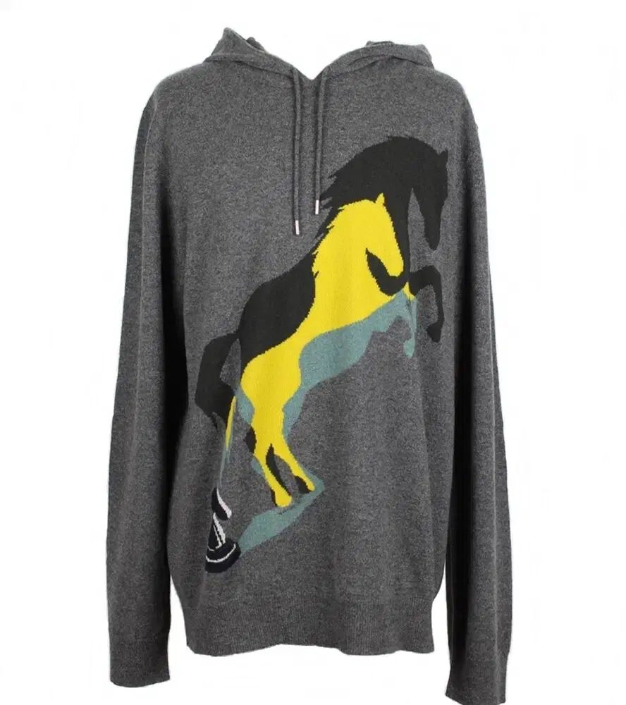 エルメス シャドウ カシミア フーディーセーター XXL (110)