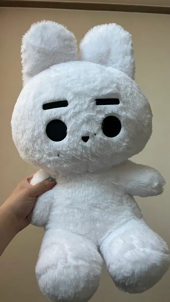 ENHYPEN（エンハイプン・エナプ）ソンフン(SUNGHOON) ぬいぐるみ あずまんが大王 훙끼 40cm 開封 5,525円