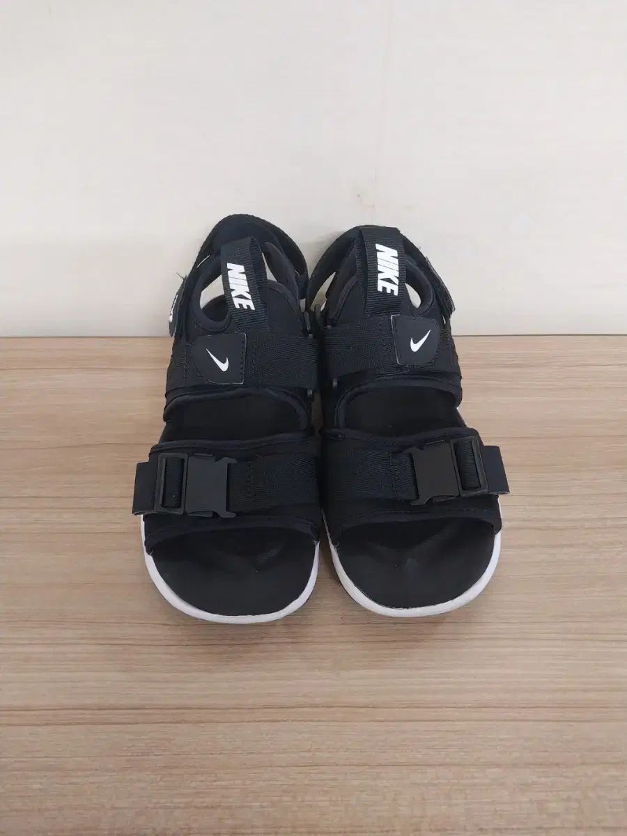 レディース NIKE キャニオン サンダル (220)