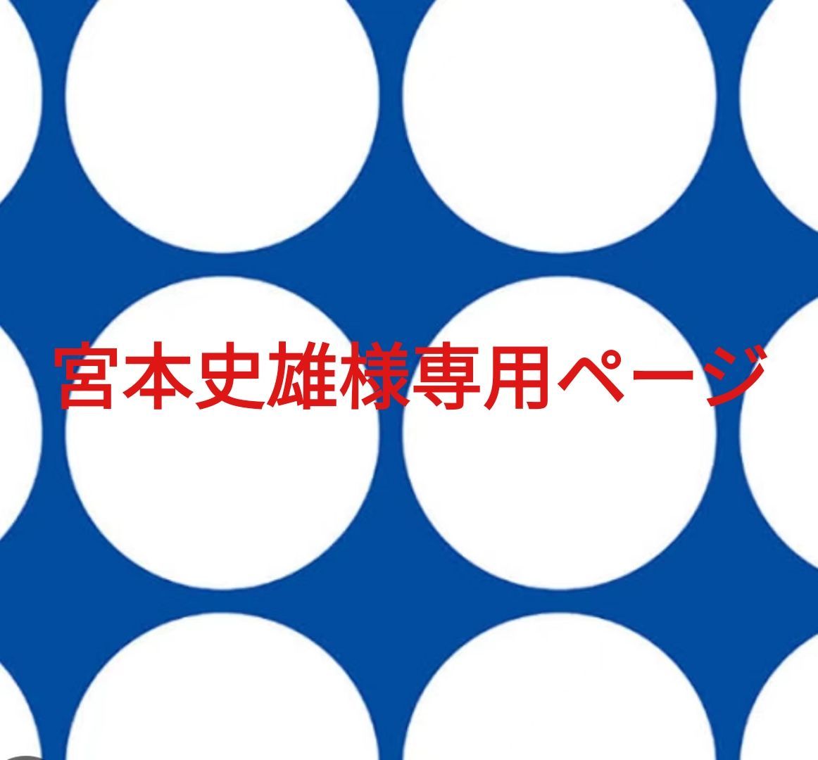 宮本史雄様専用ページです。
