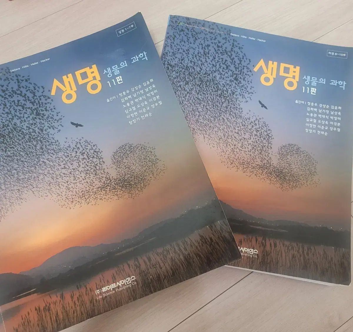 生命生物の科学 11版 (上 下 まとめ売り)