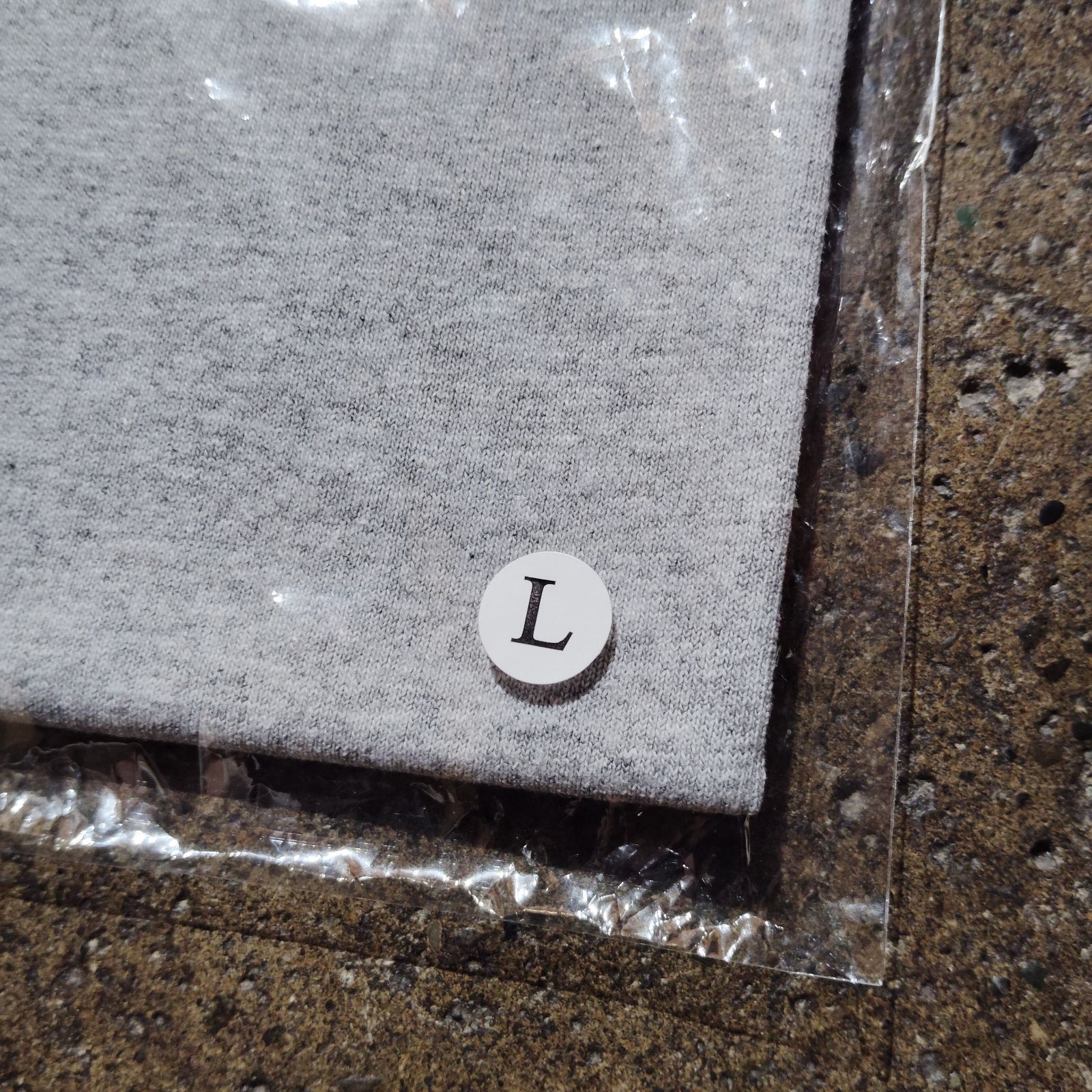 PRO CLUB × The△Hermit Club × Brochure In&Out Tee L グレー プロ 