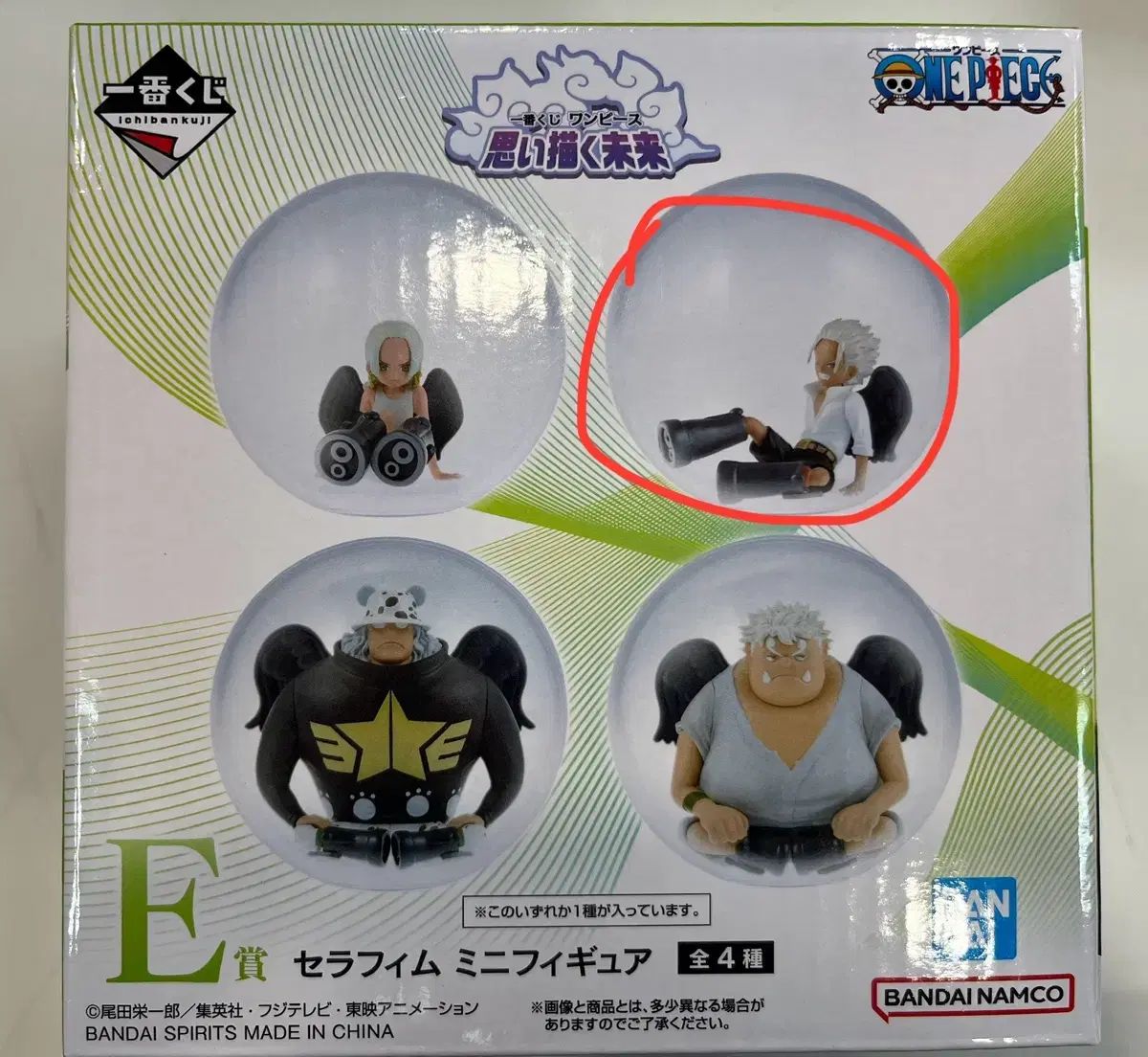 現地土産品】ヤシガニ 剥製 標本 巨大