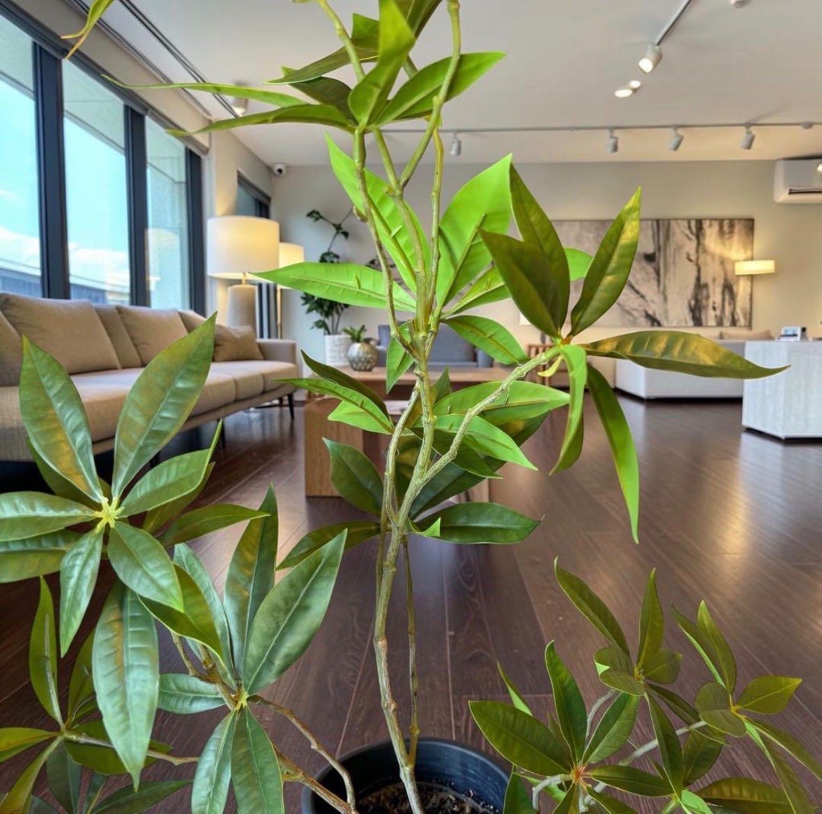 光触媒 人工観葉植物 ウォールグリーン フェイクグリーン マジカル