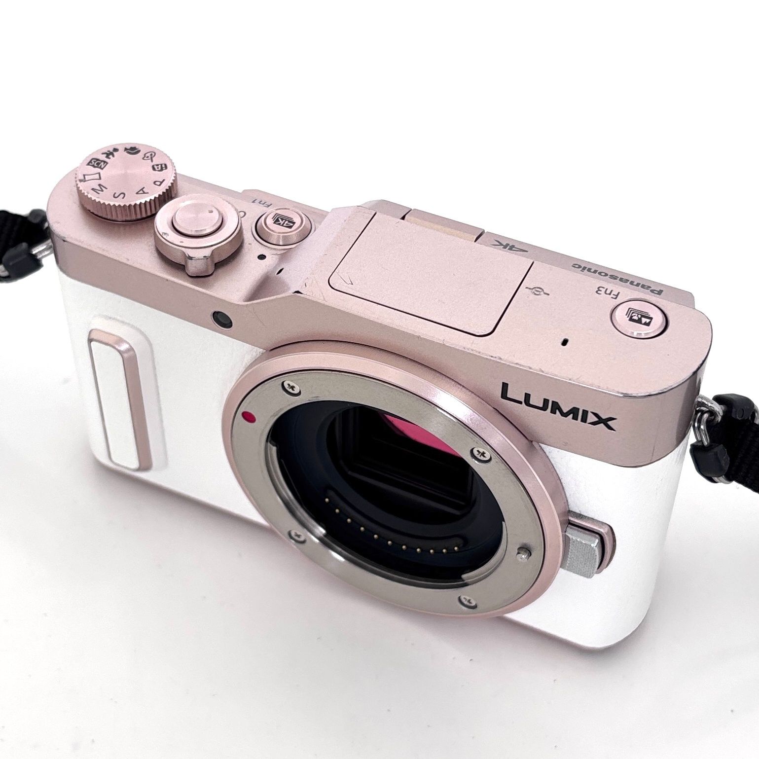今週の目玉品！【パナソニック】Panasonic LUMIX DC-GF10 + レンズ バッテリー付 #T172