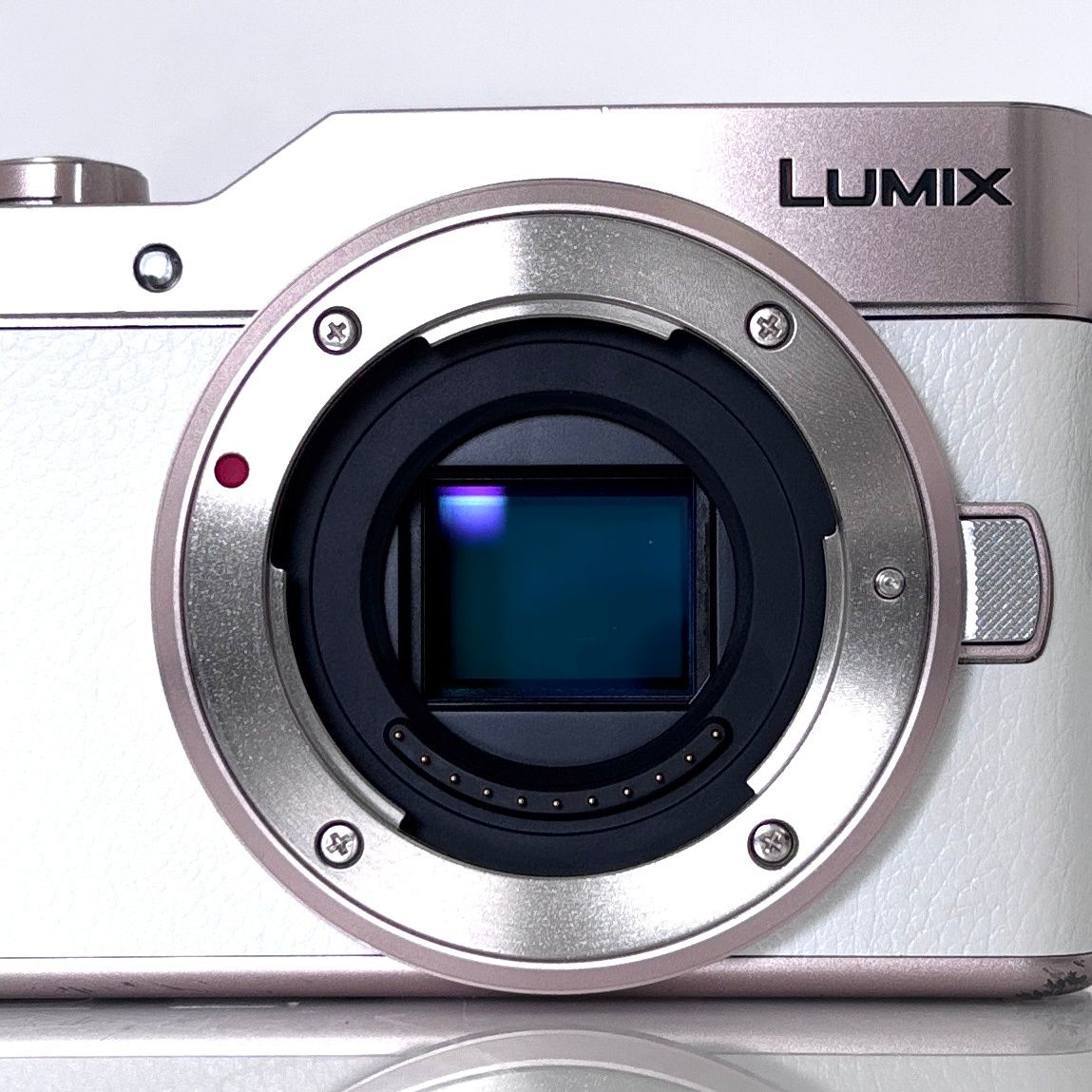 今週の目玉品！【パナソニック】Panasonic LUMIX DC-GF10 + レンズ バッテリー付 #T172