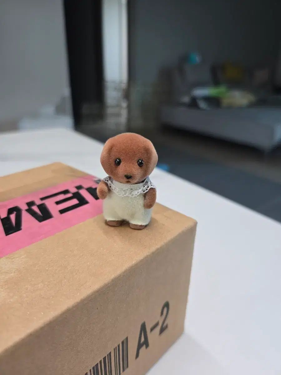 シルバニア オールドチョコリー リトリーバー