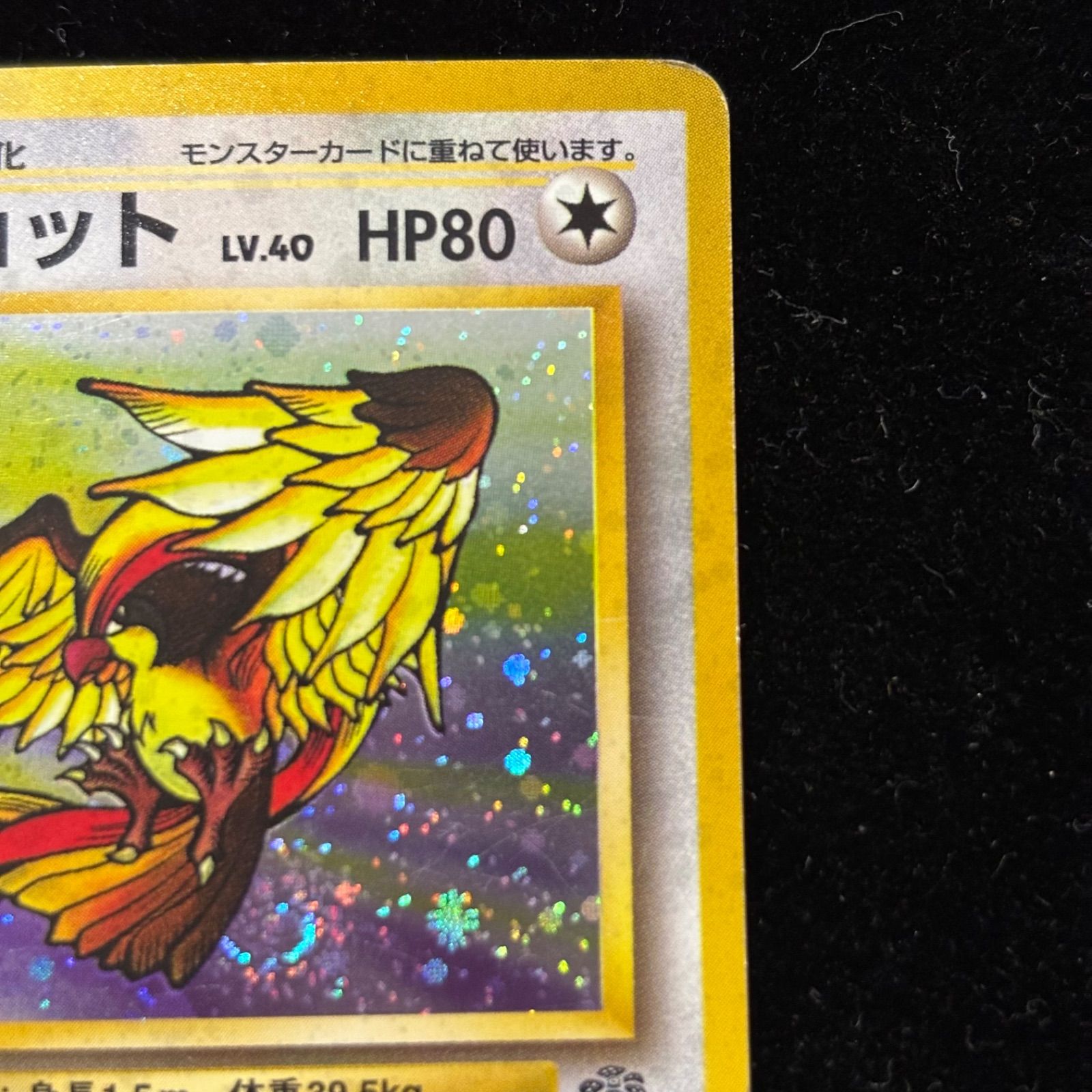 ピジョット LV.40 HP80 ポケモンカード　旧裏 おまとめ買い割引有❗️】ポケモンカード 旧裏 ピジョット LV40 HP80