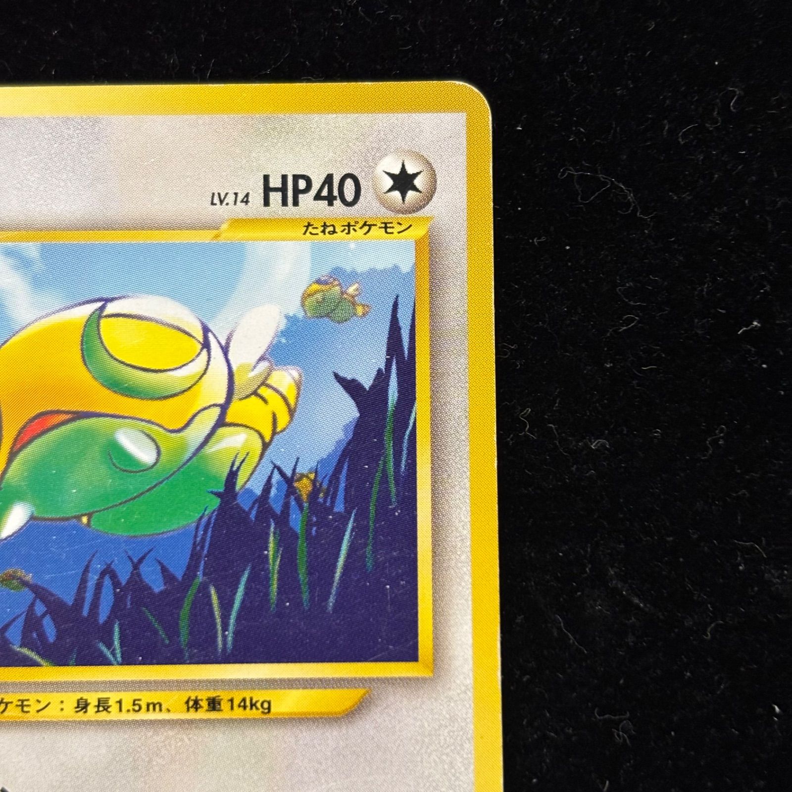 おまとめ買い割引有❗️】プロモ ポケモンカード ノコッチ