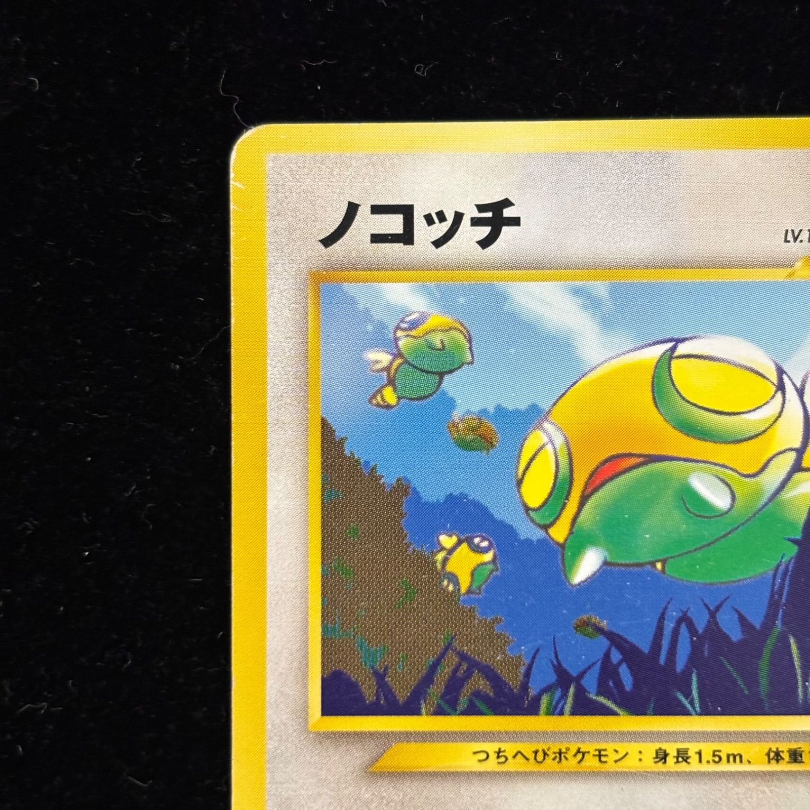 ポケモンカードneo 目覚める伝説 ポスター インフォメーションパック ノコッチ ポケモンカードneo 目覚める伝説 ポスター インフォメーションパック