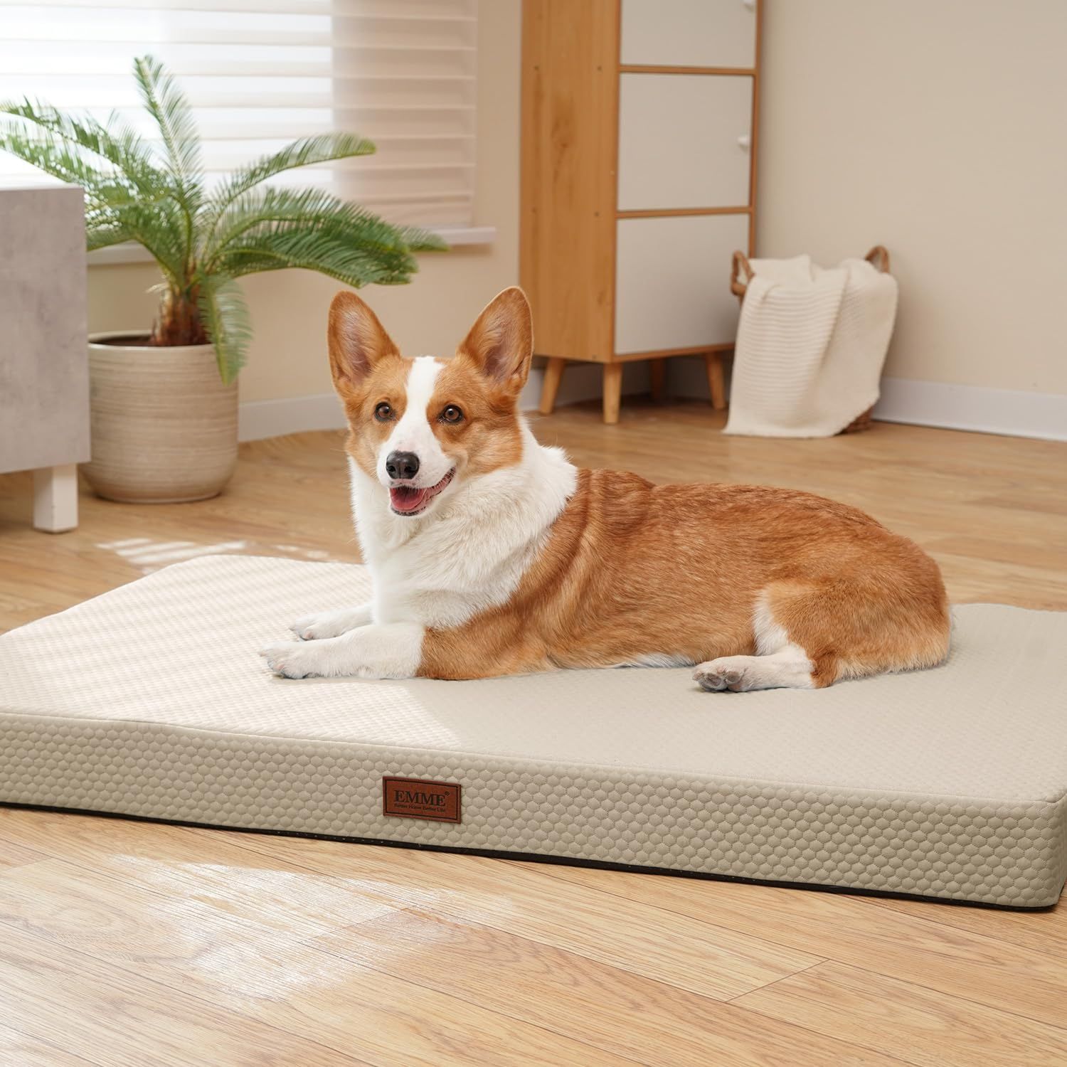 EMME接触冷感 ペットベッド犬 ひんやりペットマット Q-max値0.4 涼しい犬用ベッド 犬 クッション 洗える さらさら 通気性 蒸れにくい 高反発 クッション ベッド高齢犬 子犬 猫 多頭飼い 取り外せるカバー 滑り止め ペット用ベッ 94ef8a15