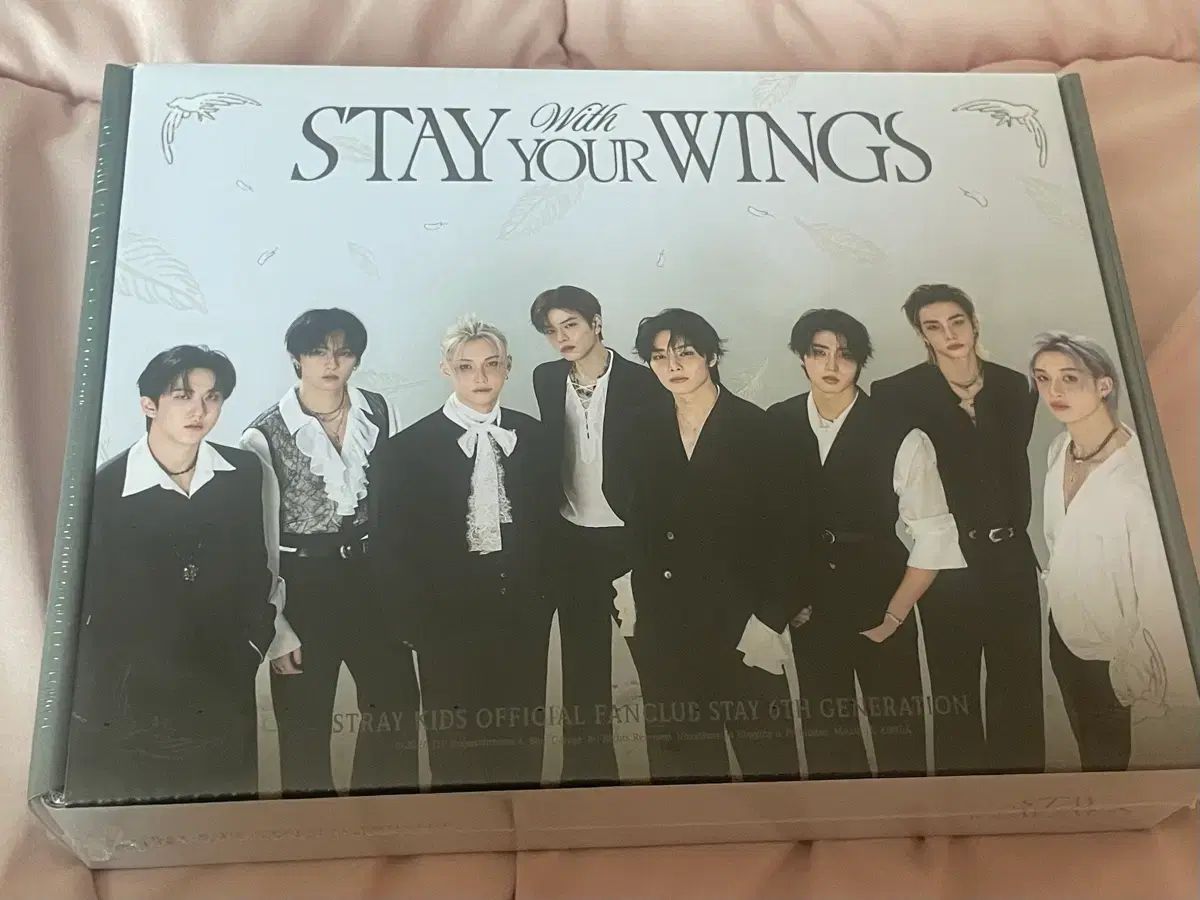 STAY 6期メンバーシップ キット 未開封 Stray Kids (ストレイキッズ・スキズ・SKZ)