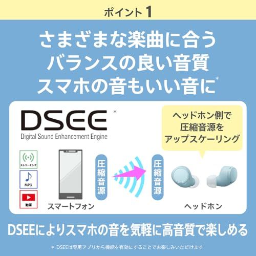 【新品】ソニー(SONY) 完全ワイヤレスイヤホン WF-C510 / 軽量小型4.6g / 高精度通話品質/外音取り込み対応/マルチポイント対応 / IPX4防滴性能 / ブラック/WF-C510 BC d73211c5 【新品】ソニー(SONY) 完全ワイヤレスイヤホン WF-C510 / 軽量小型4.6g / 高精度通話品質/外音取り込み対応/マルチポイント対応 / IPX4防滴性能 / ブラック/WF-C510 BC d73211c5