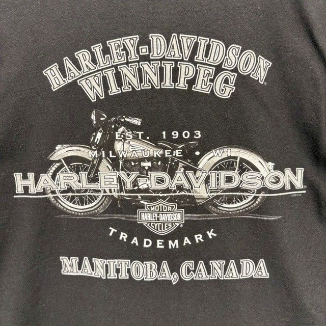 HARLEY DAVIDSON MOTOR CYCLES 09年 EAGLE BIKE グラフィックTシャツ WINNIPEG CANADA サイズⅬ 08050913 871