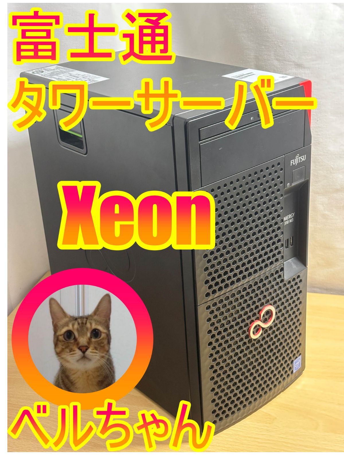 ブーくん様用Fujitsu PRIMERGY TX1310 M3 サーバー MI86bsMWRJKV._UX300_TTW__.jpeg