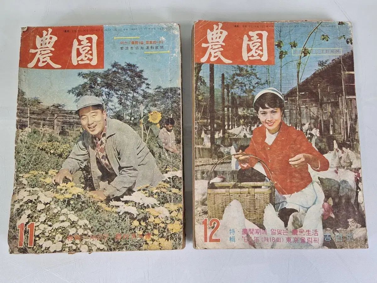 近代書画 月刊誌 書籍 刊行物 農園 巻2
